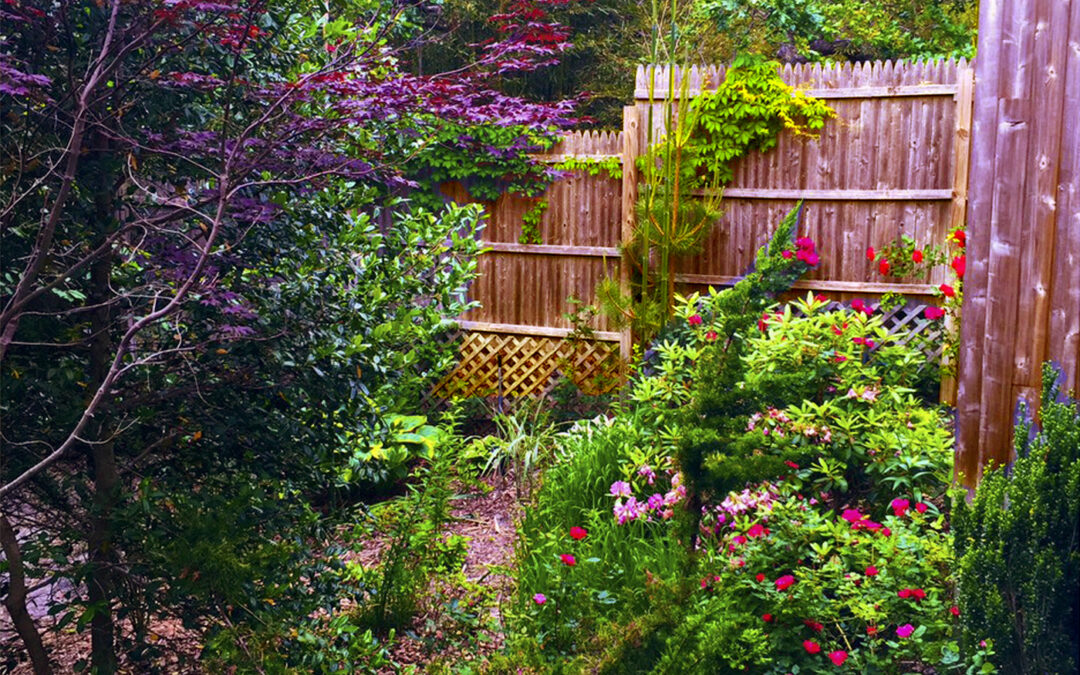 Lower Gardens