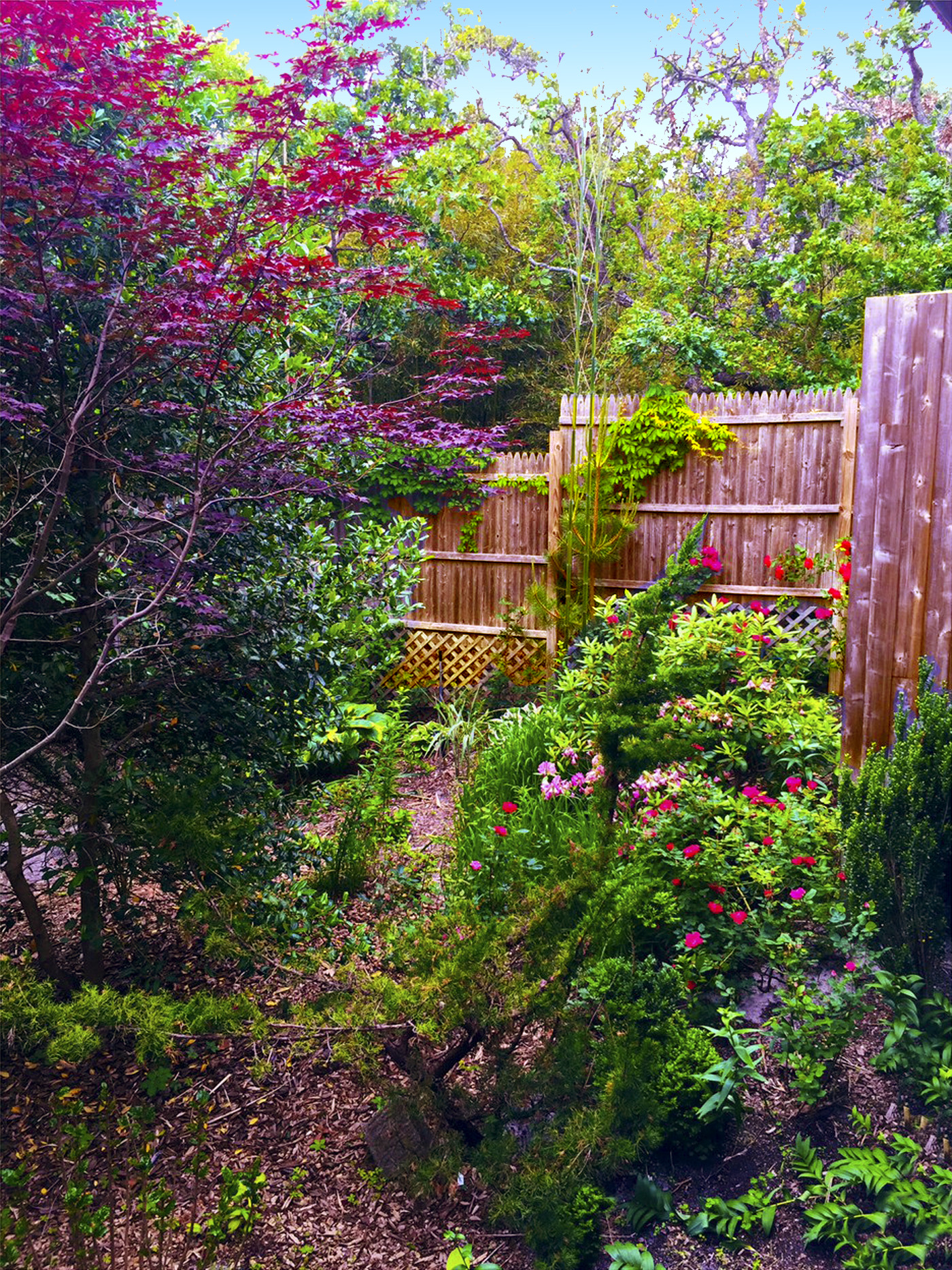 Private Pines Alcove Studio Garden