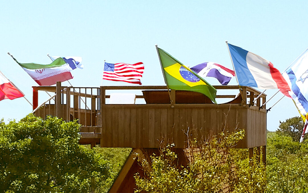 Flag-clad Views