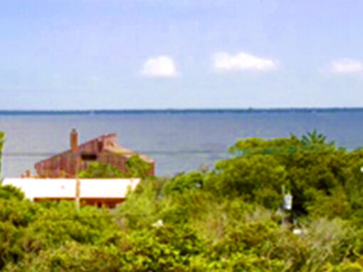 The Great South Bay
