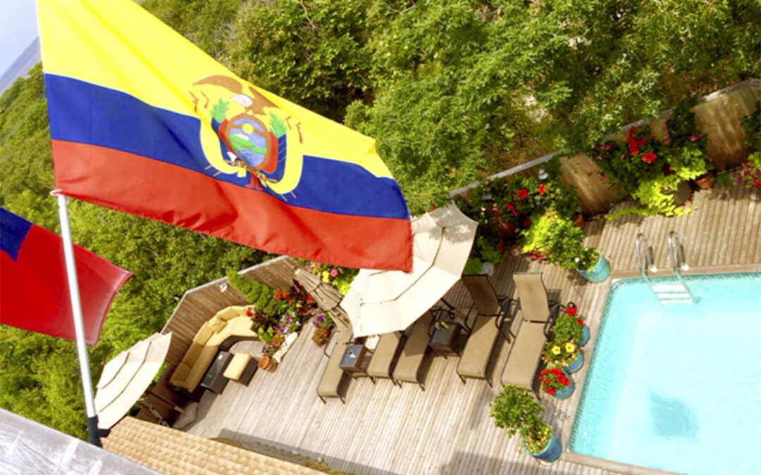 Pool Deck View