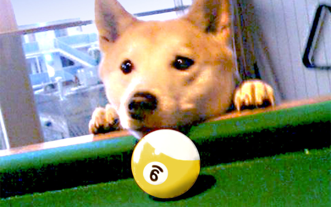 Cute Dog Center Pocket
