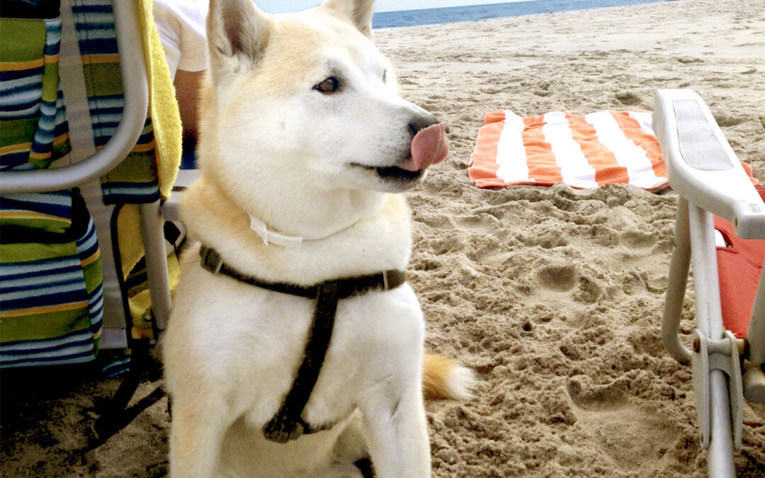 Tongue action!