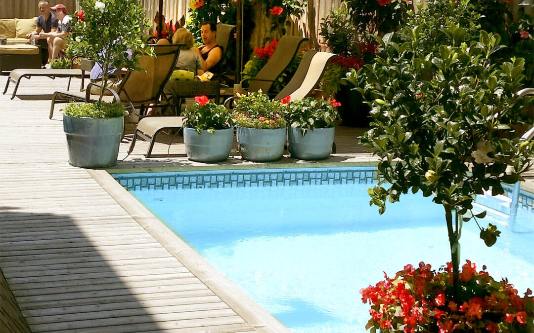 Poolside Peaceful