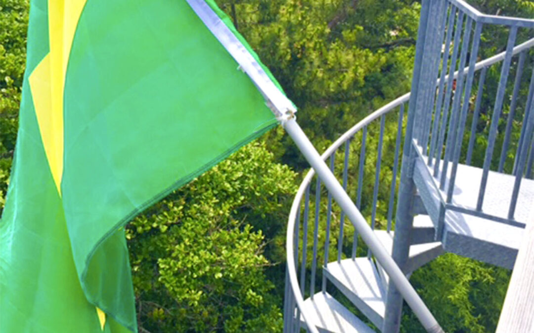 Spiral Staircase